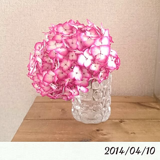 kira127さんの実例写真