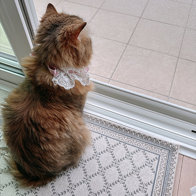 miyu39さんの部屋