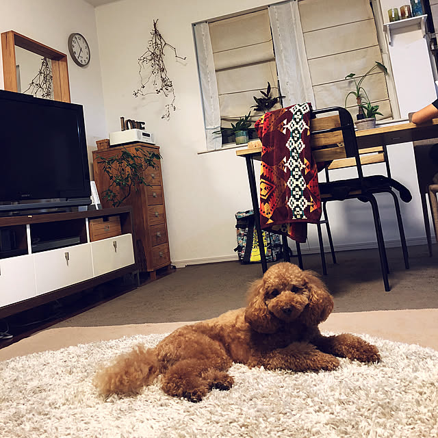 moritamaさんの実例写真