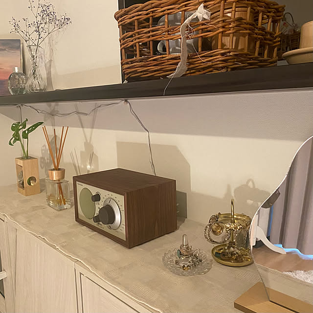 一人暮らし/観葉植物/棚のインテリア実例 - 2021-09-19 11:52:20