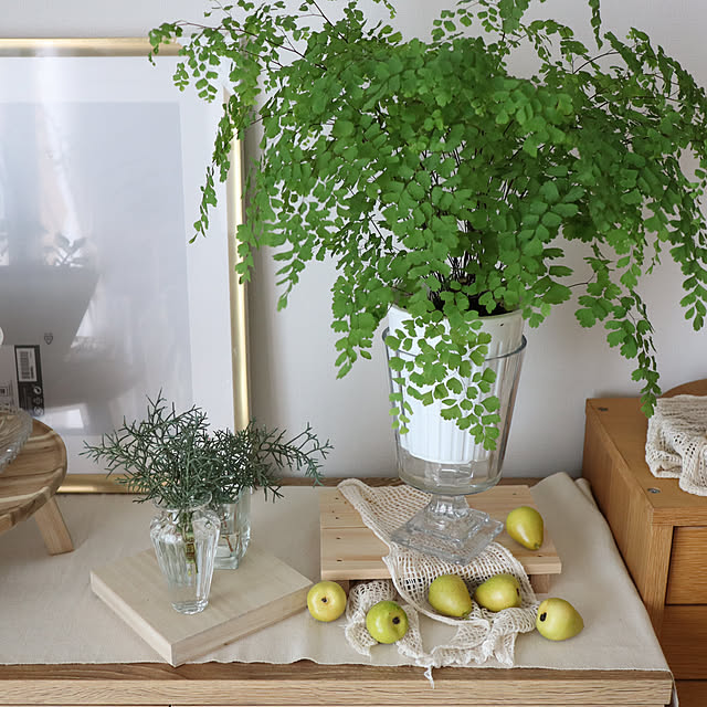 Summerさんの部屋