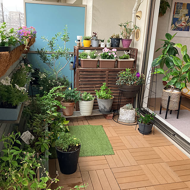 marukoさんの部屋