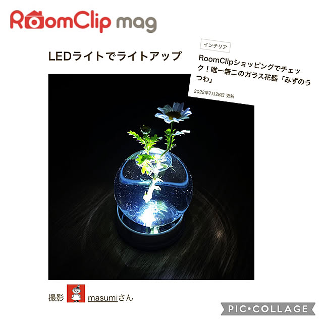 masumiさんの実例写真