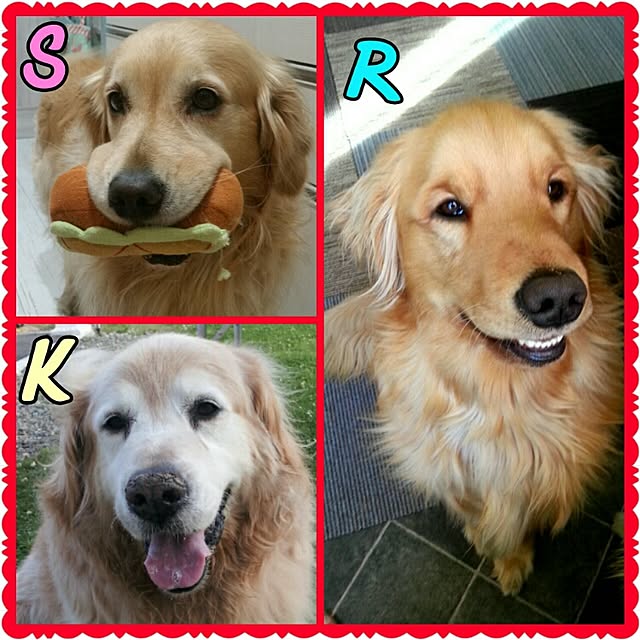 K.S.Rさんの実例写真
