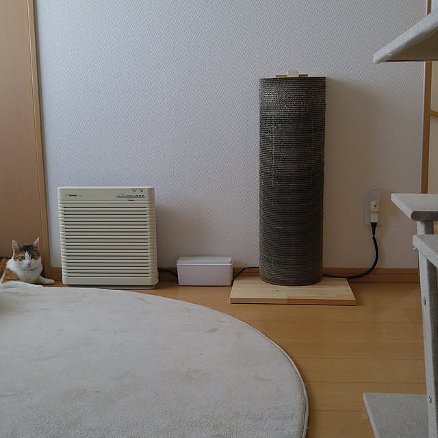 l..tomesanさんの実例写真