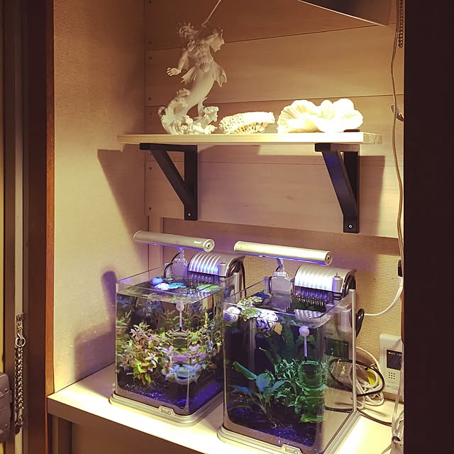 ikuraさんの実例写真