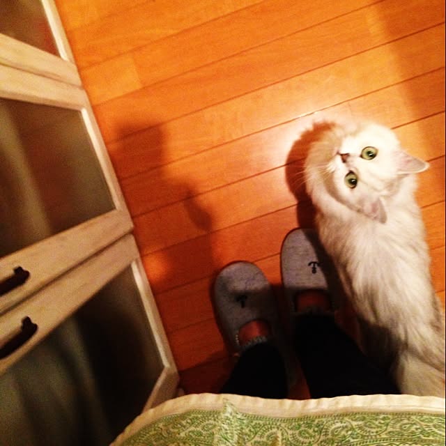 sakuさんの実例写真