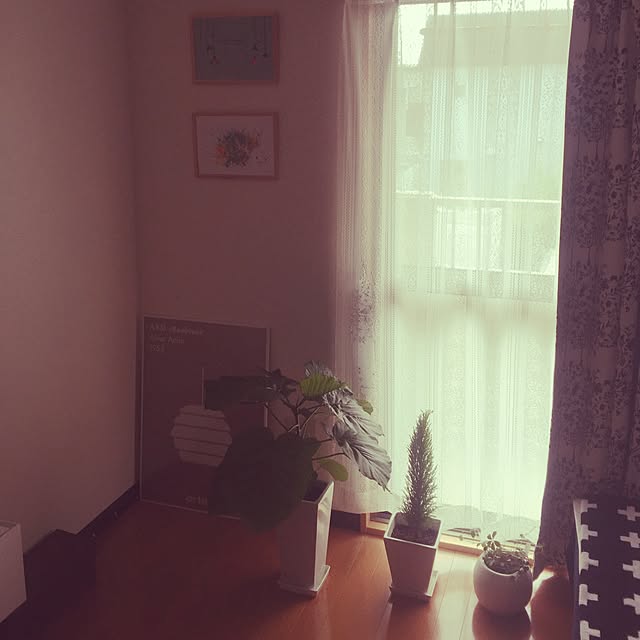 pukuさんの実例写真