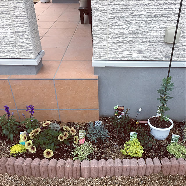n.m.wsさんの実例写真