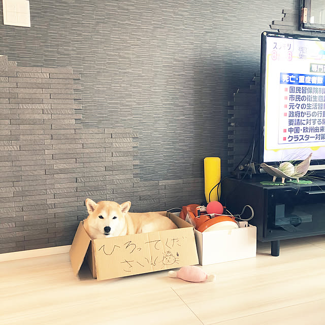 LilJijiakaBigBabyさんの実例写真