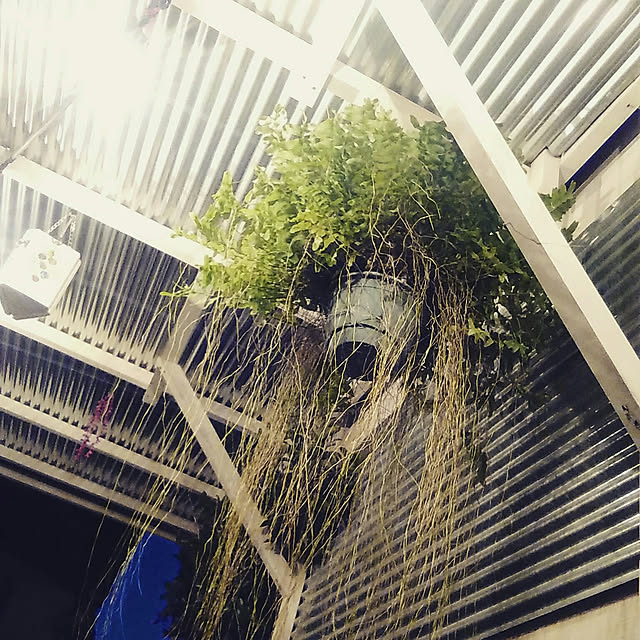 Kaneko.gunmaさんの実例写真