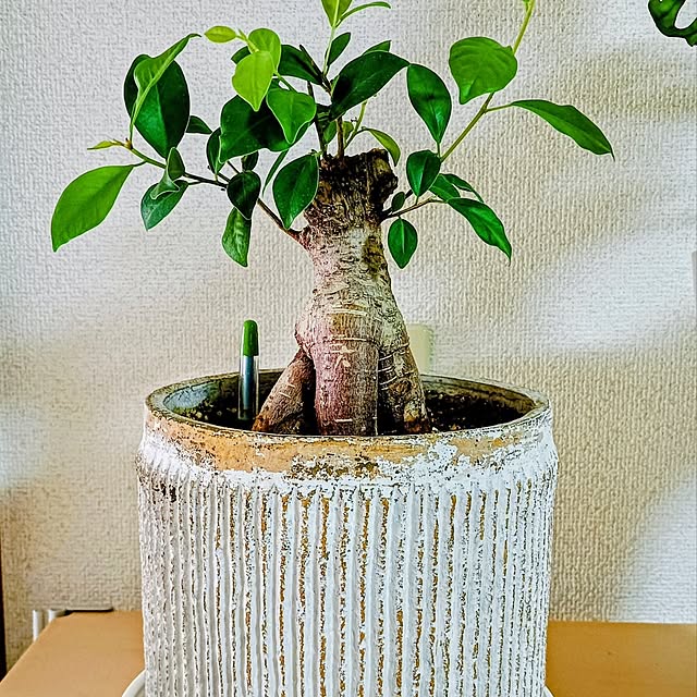 hanachanさんの部屋