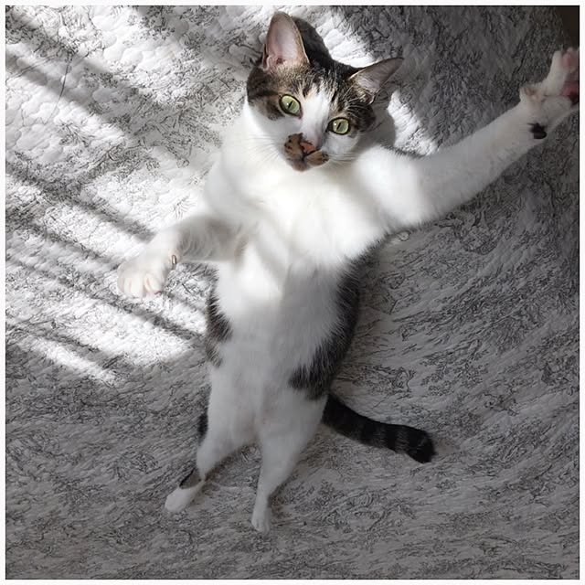 yuchiさんの実例写真