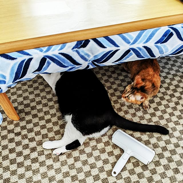 kotaさんの実例写真