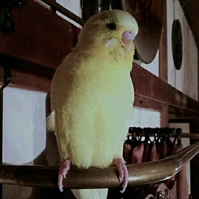 Kenさんの実例写真