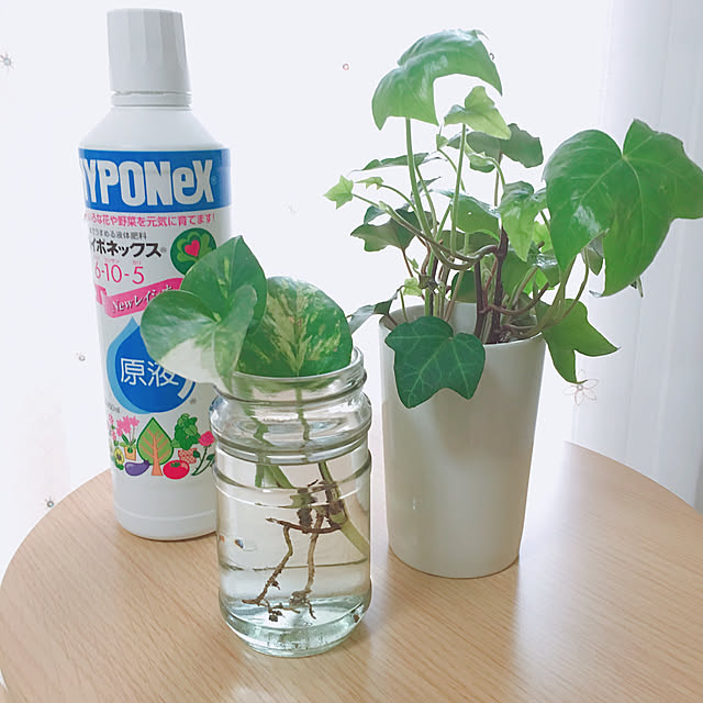 Aさんの実例写真