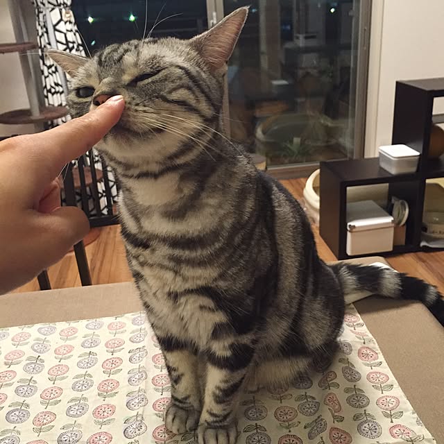 Ryokoさんの実例写真