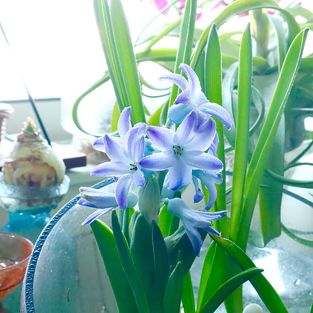 rukakoさんの部屋