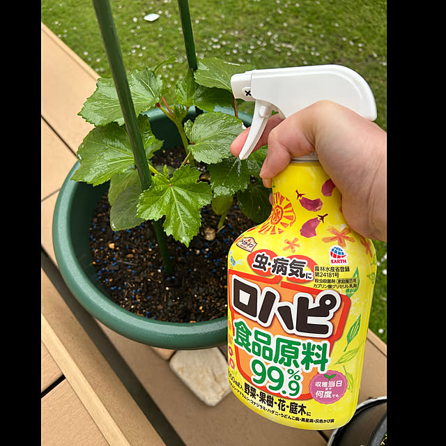 booboobooさんの実例写真