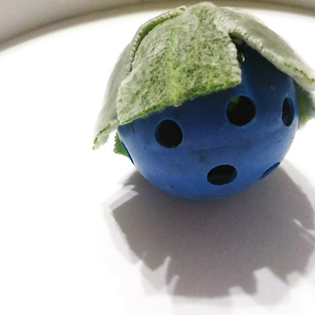 kikusukeさんの実例写真