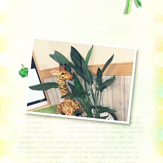toshiさんの実例写真