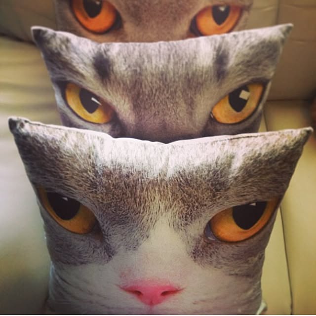 Kikoさんの実例写真