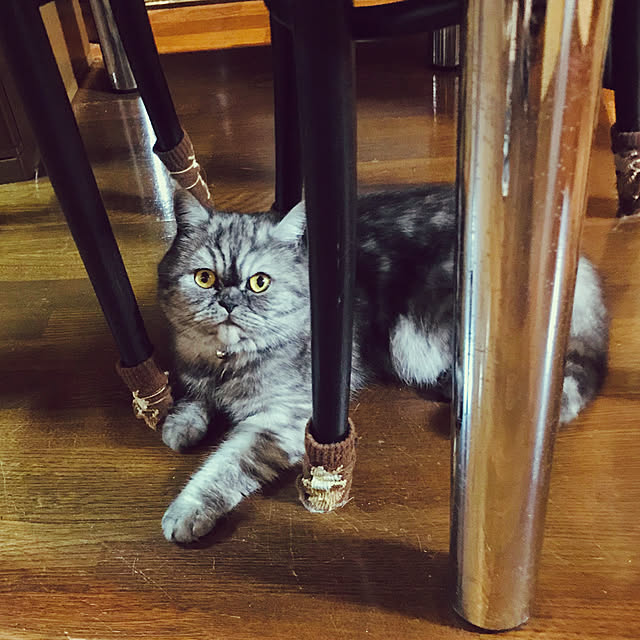 Marinさんの実例写真