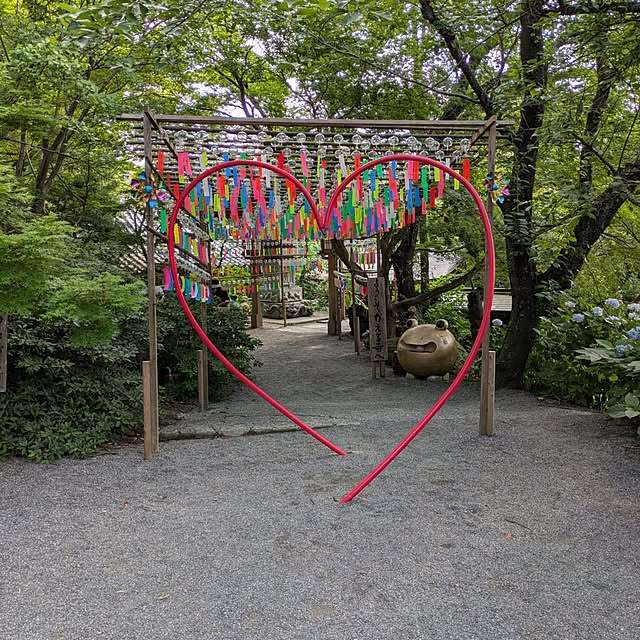 asaさんの部屋