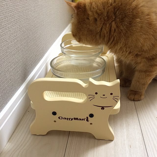 mamizoさんの実例写真