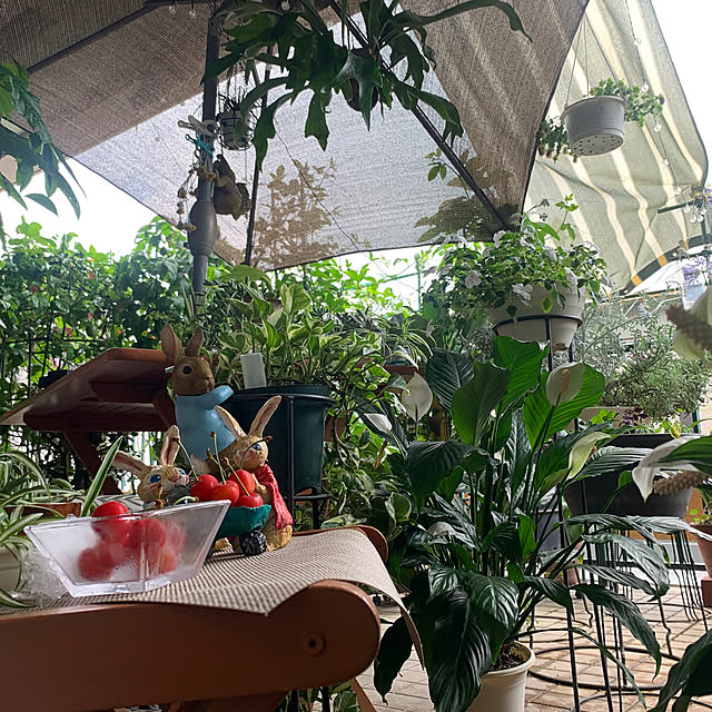 Aqettyさんの部屋