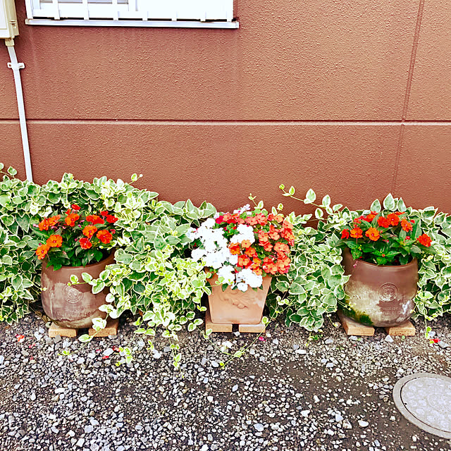 oyoさんの実例写真