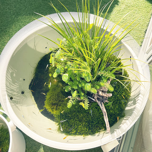 nanakoさんの部屋