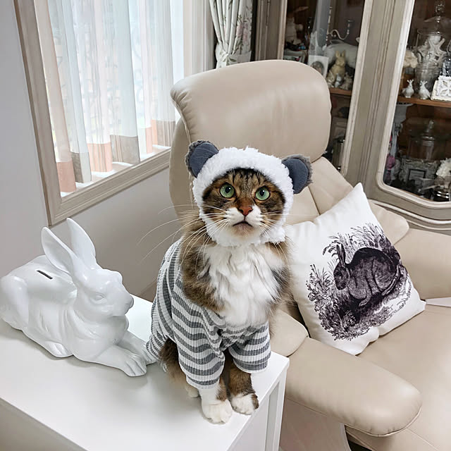 yuchiさんの実例写真