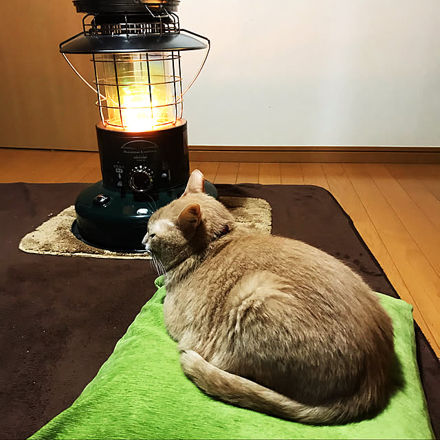 mikan161さんの実例写真