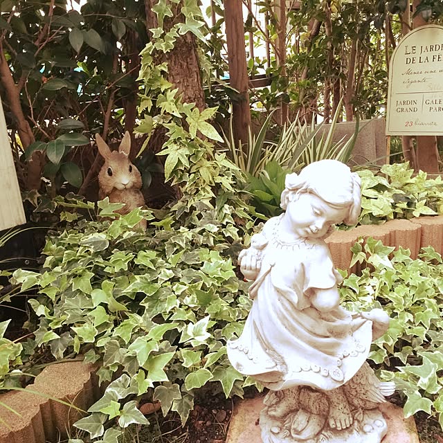 dodoさんの実例写真