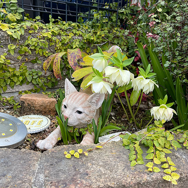 kikiさんの部屋