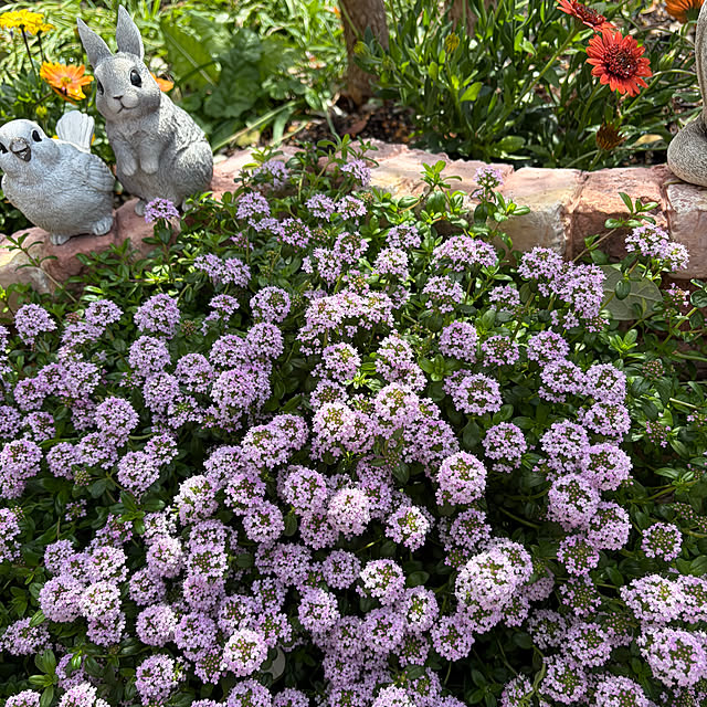 ronronさんの部屋