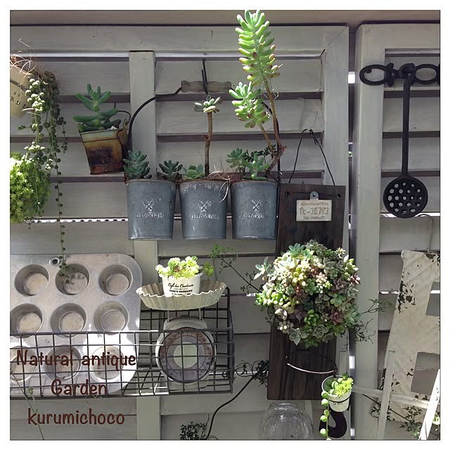 kurumichocoさんの実例写真