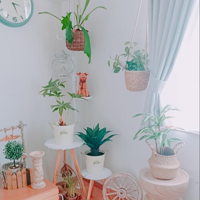 Hanakaさんの部屋