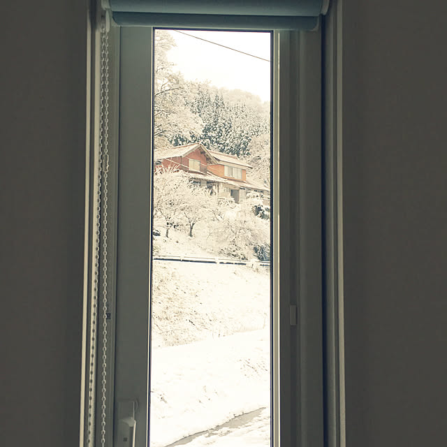 snowさんの実例写真