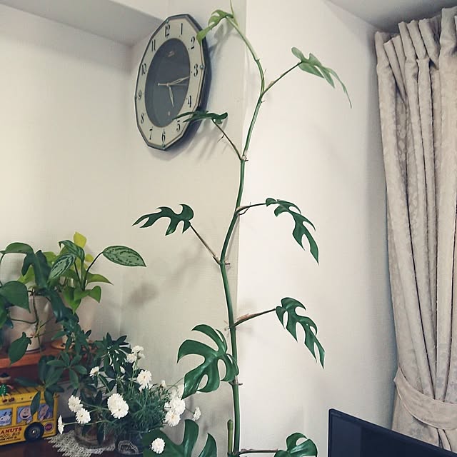 hopkeiさんの実例写真