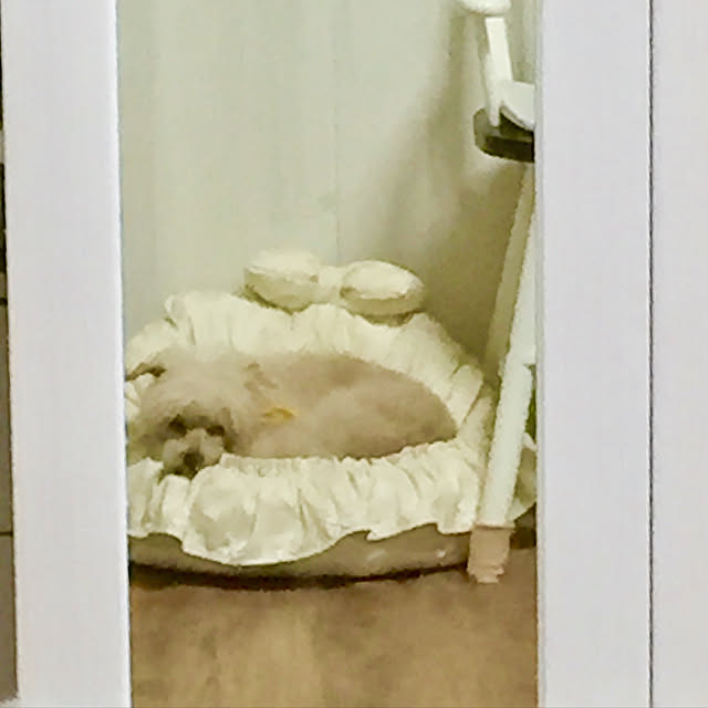 Naomiさんの実例写真