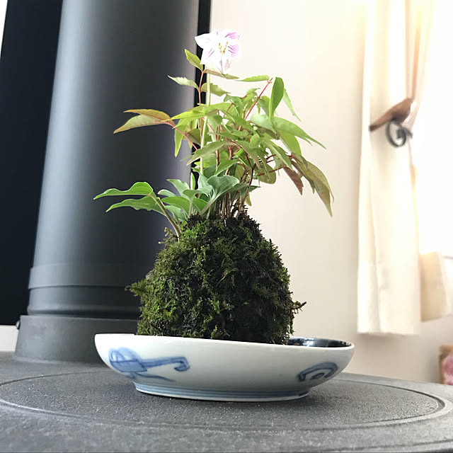 ayomoyuさんの実例写真