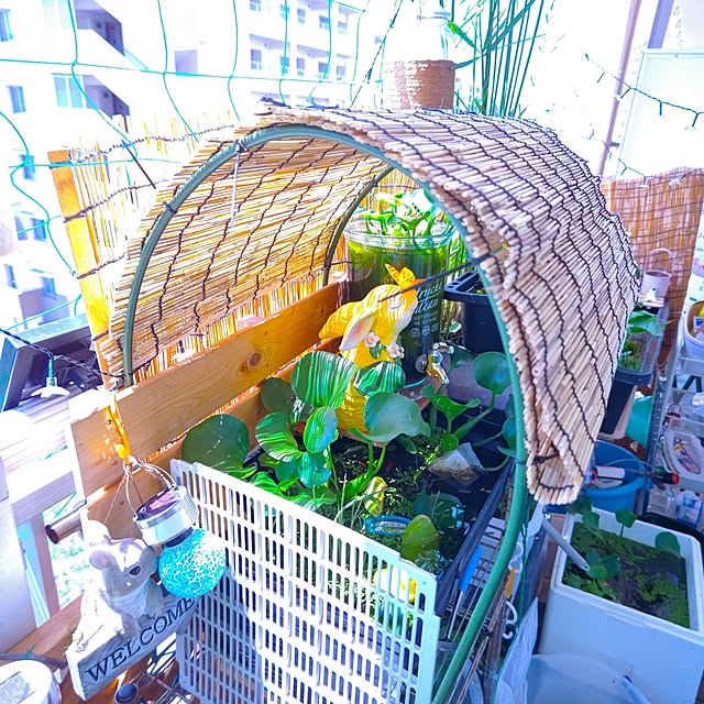 mariaさんの部屋