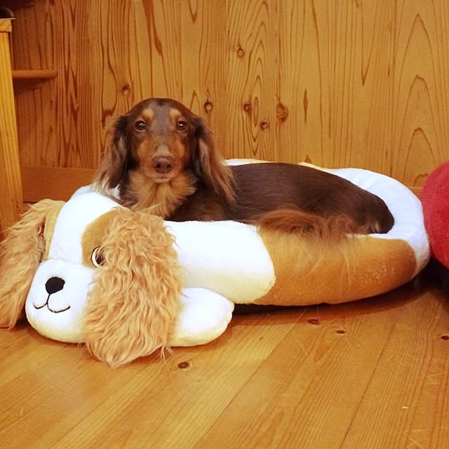 yuzuさんの実例写真