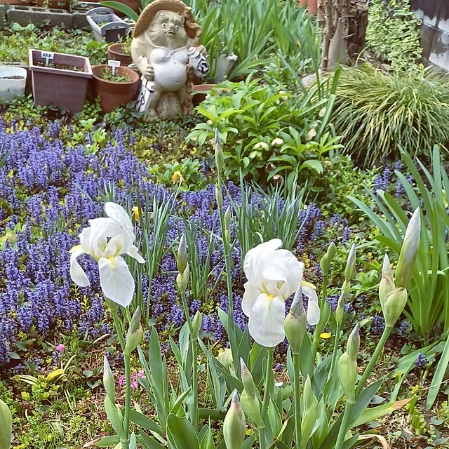 hiro.904さんの実例写真