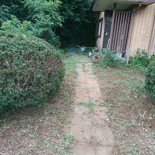 okyosan101さんの実例写真