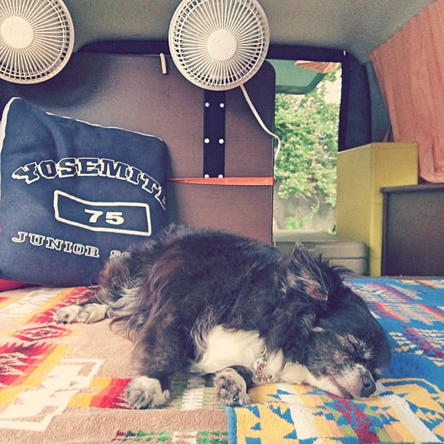 hitomixさんの実例写真
