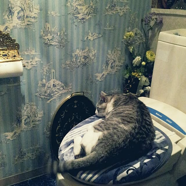 emmyyさんの実例写真