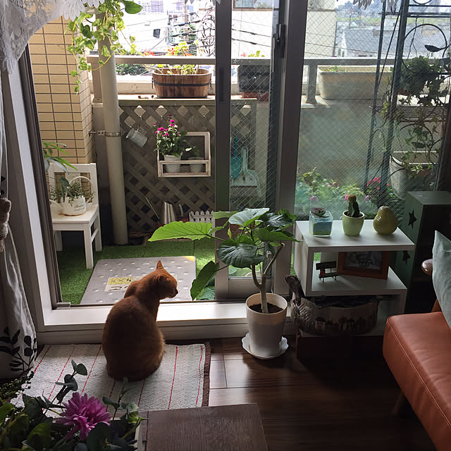 sleptcatさんの実例写真